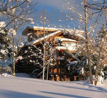 Sundance Bear Lodge Mancos Bagian luar foto
